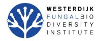 荷兰CBS真菌生物多样性库 - 上海可芃生物官方代理